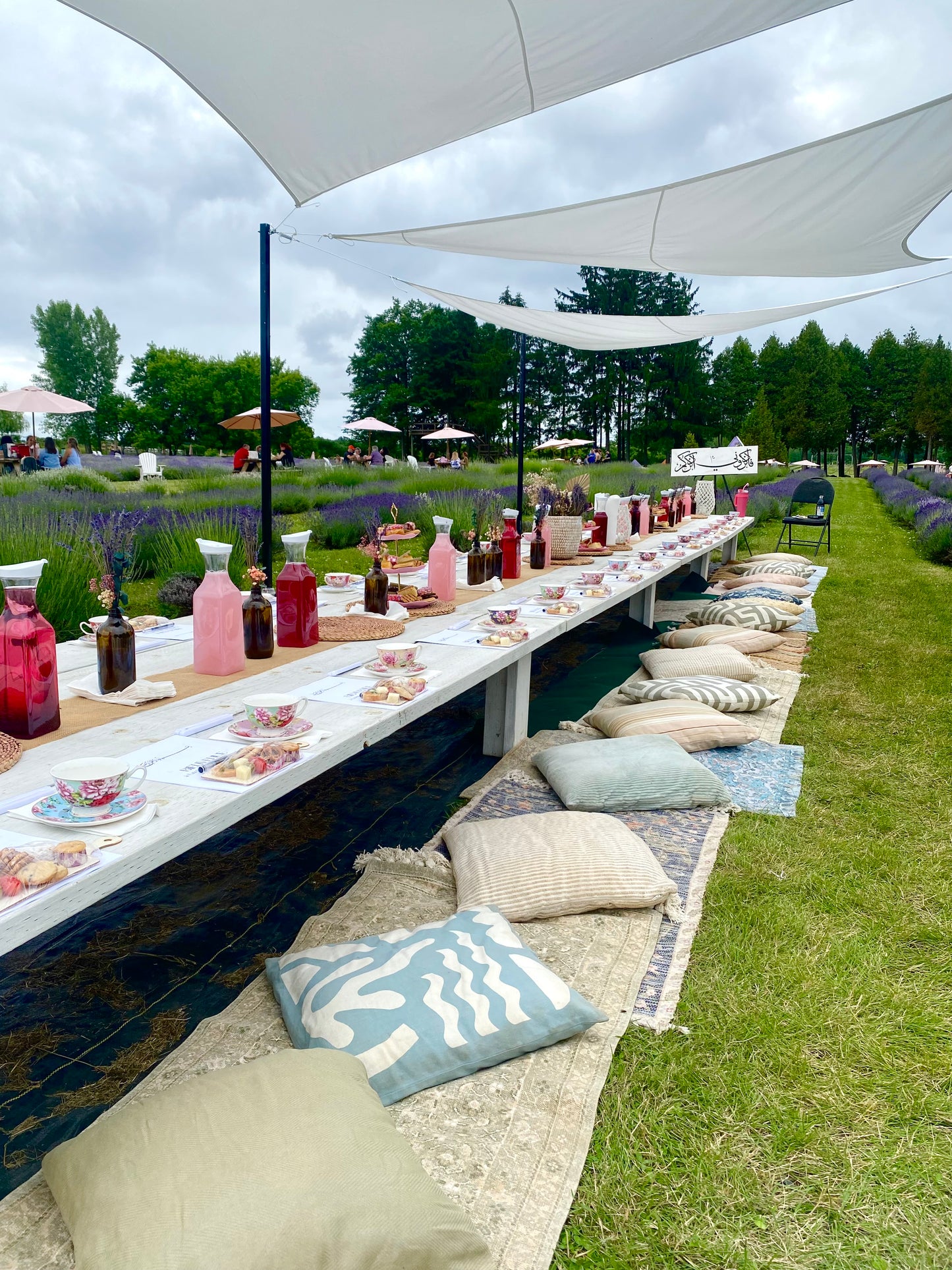 Maison Lavande calligraphy (Second edition) workshop