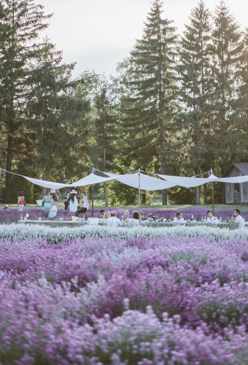 Maison Lavande Picnic calligraphy workshop