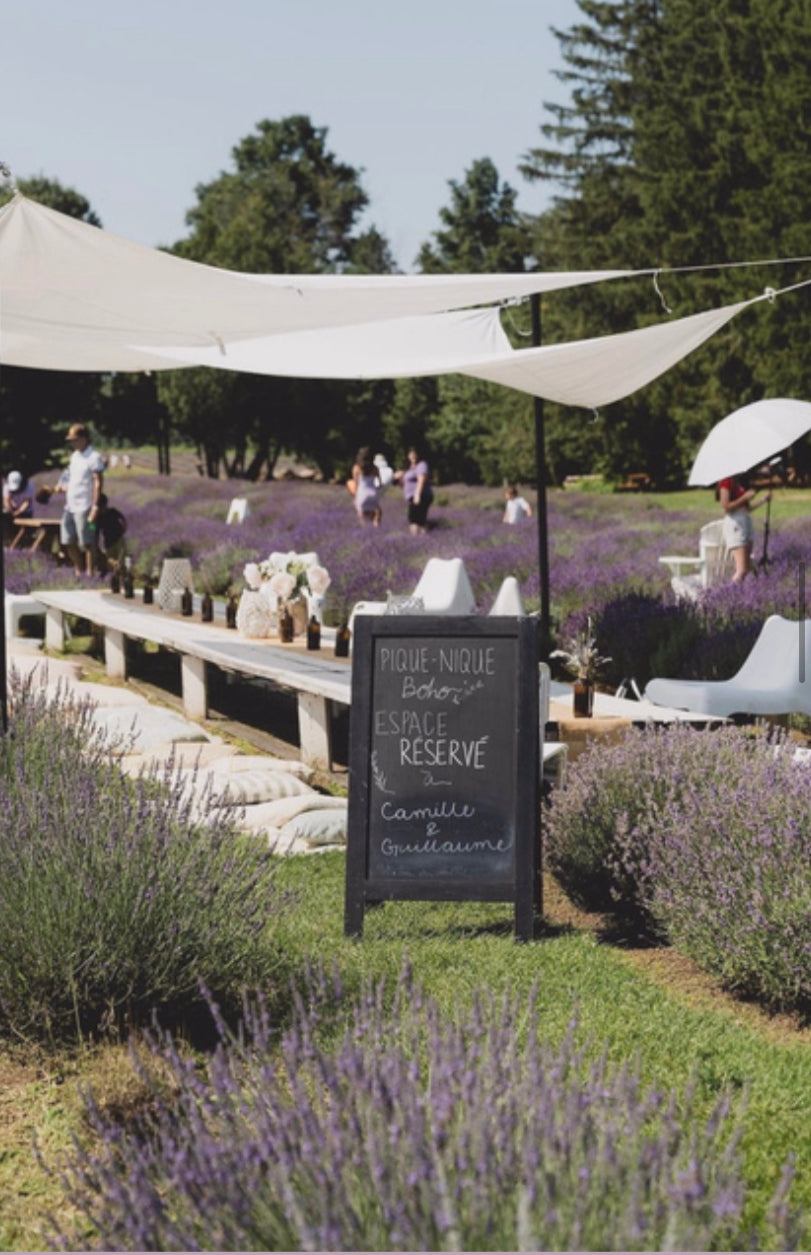 Maison Lavande Picnic calligraphy workshop