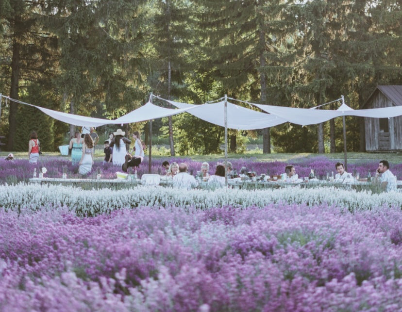 Maison Lavande Picnic calligraphy workshop